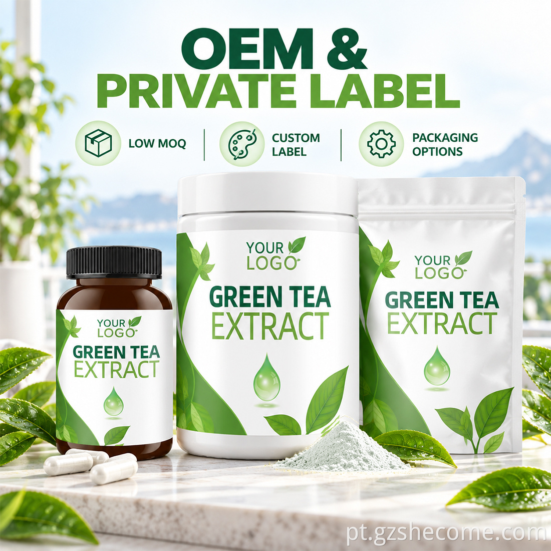 Green Tea Extract Capsules11